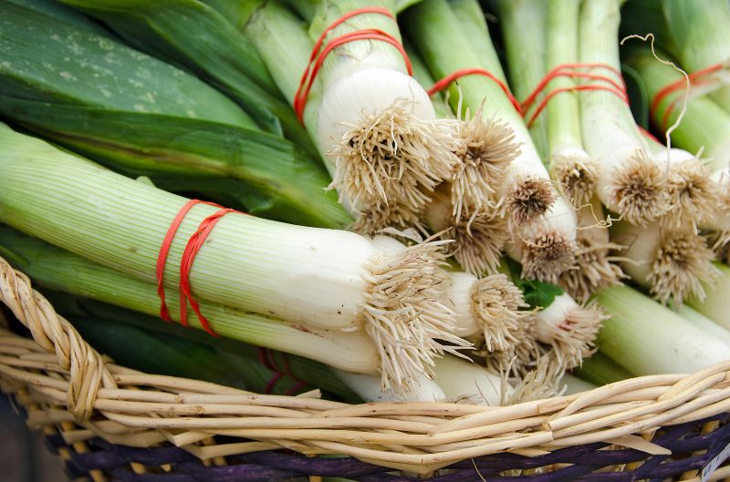 Rubber rings food-safe and latex-free Rubber rings food-safe and latex-free